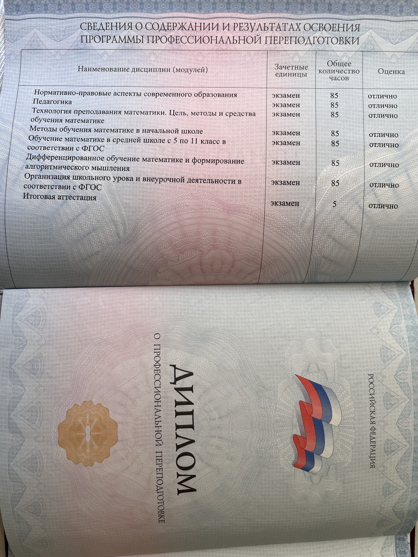 Диплом 11